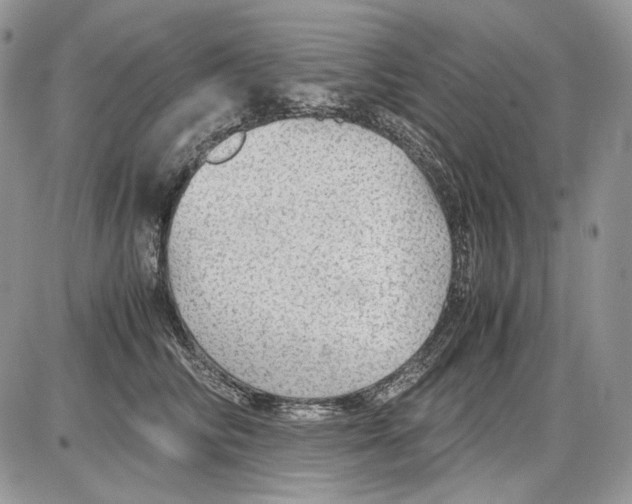 X0000086090710200704202216