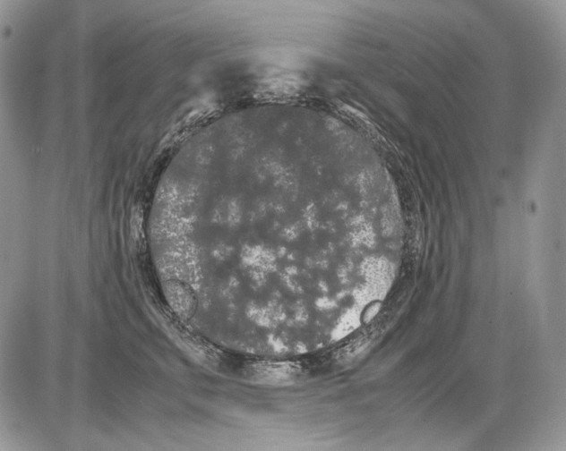 X0000086090711200704202216