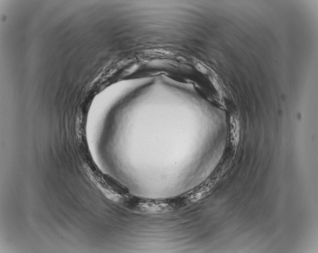 X0000086090712200704202216