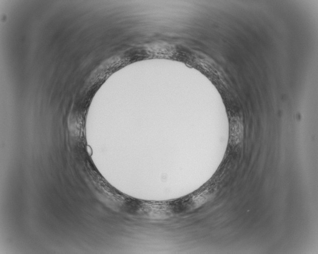 X0000086090713200704202216