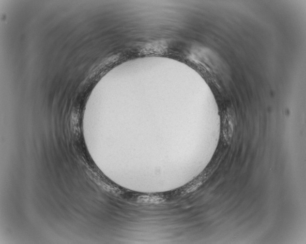 X0000086090714200704202216