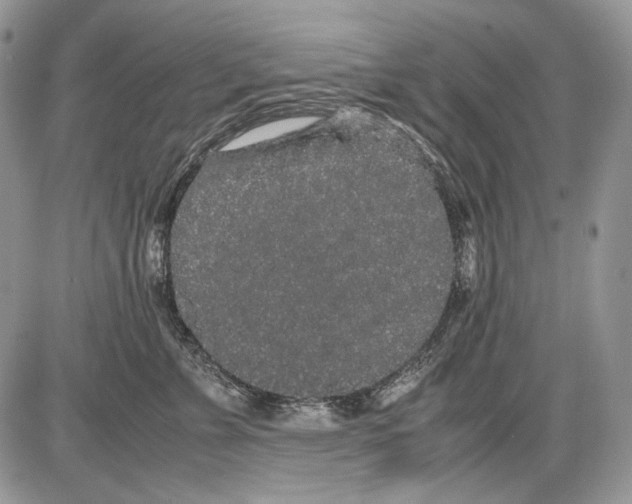 X0000086090715200704202216