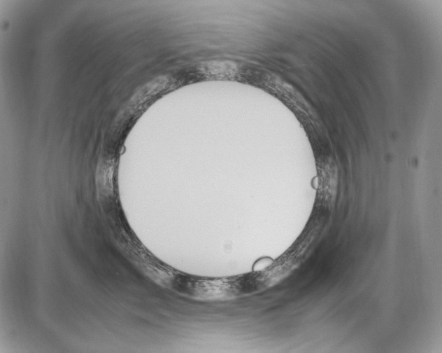 X0000086090717200704202216