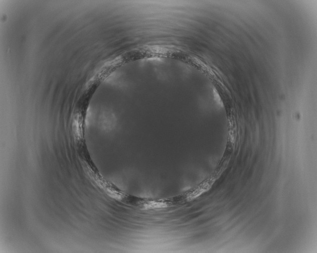 X0000086090718200704202216