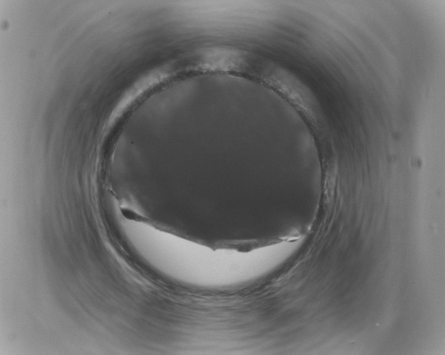 X0000086090722200704202215