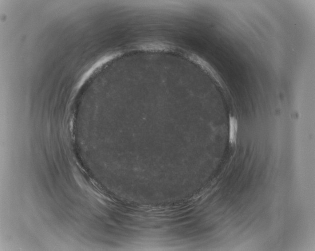 X0000086090723200704202215