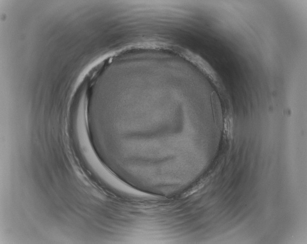 X0000086090724200704202215