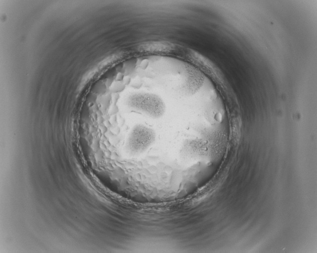 X0000086090725200704202215