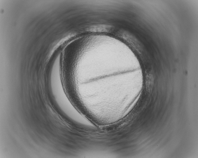 X0000086090727200704202215