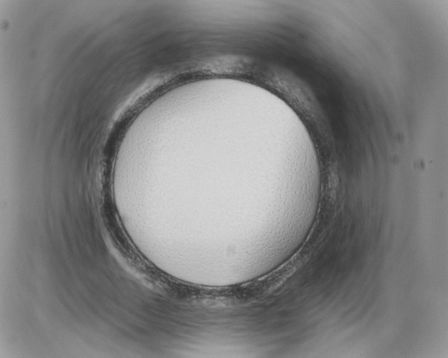 X0000086090730200704202215