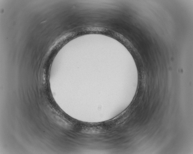 X0000086090731200704202215