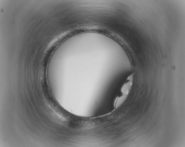 X0000086090732200704202215