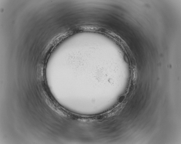 X0000086090733200704202215