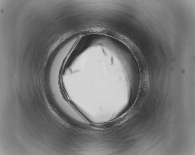 X0000086090734200704202215