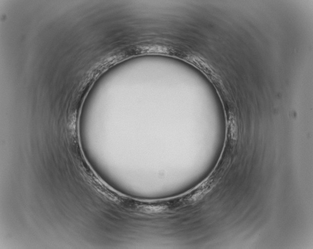 X0000086090737200704202215