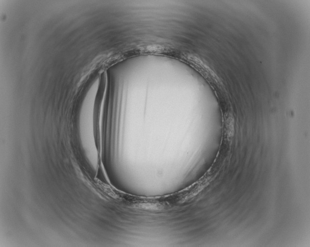 X0000086090738200704202215