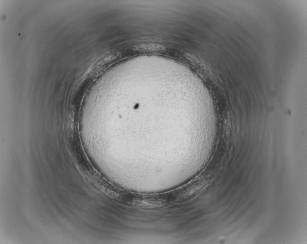 X0000086090739200704202215