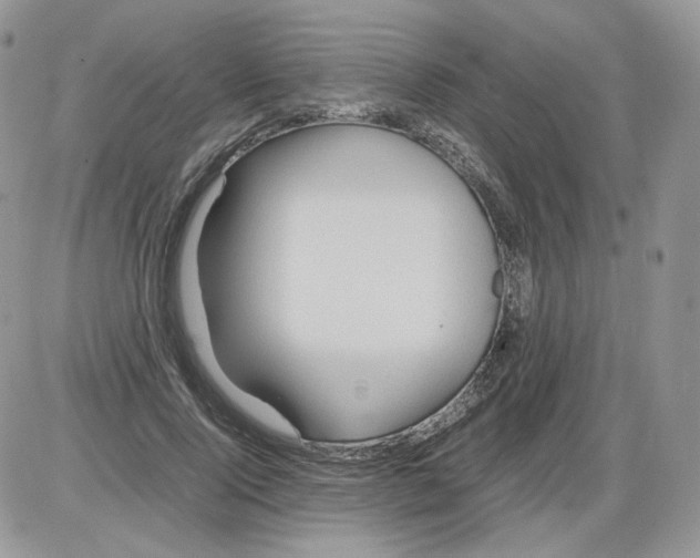 X0000086090740200704202215