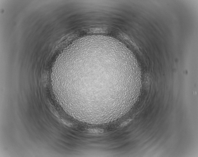 X0000086090741200704202215