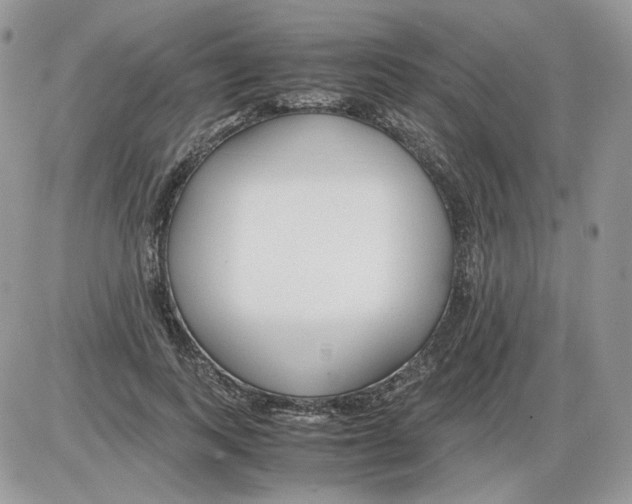 X0000086090743200704202215