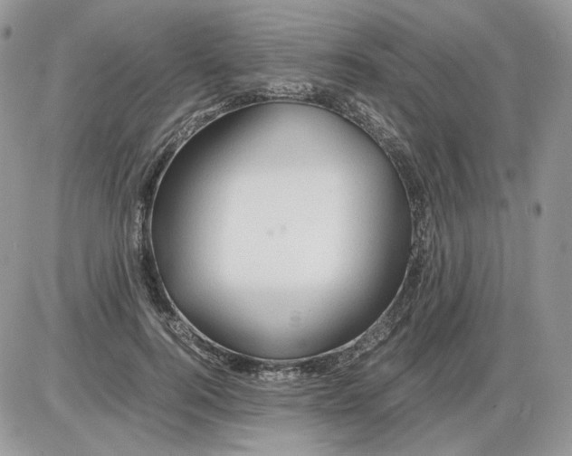 X0000086090744200704202216