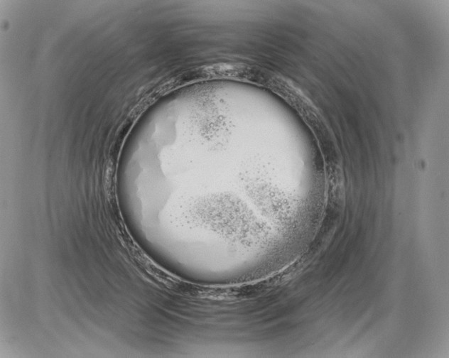 X0000086090745200704202216