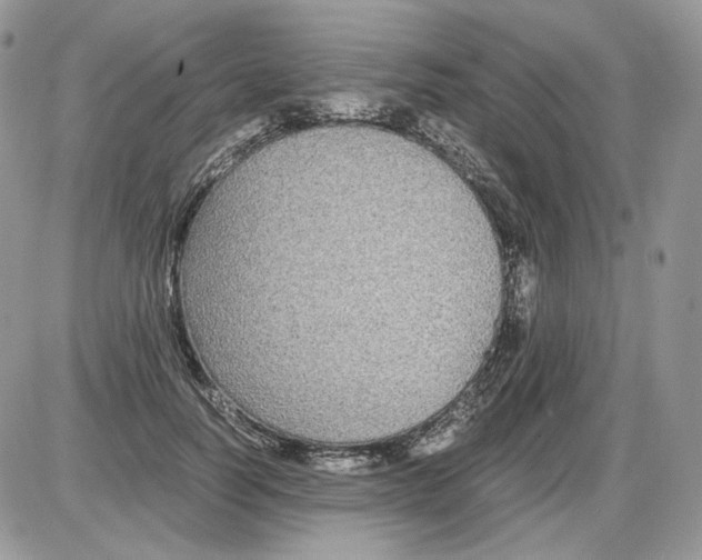 X0000086090746200704202216