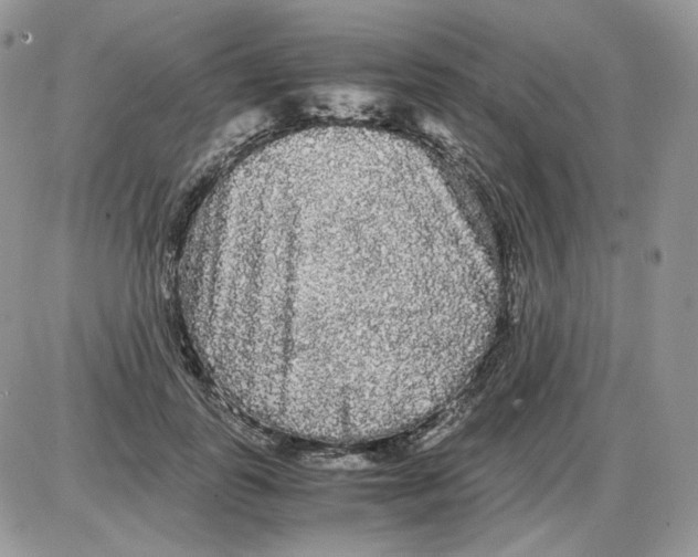 X0000086090747200704202216