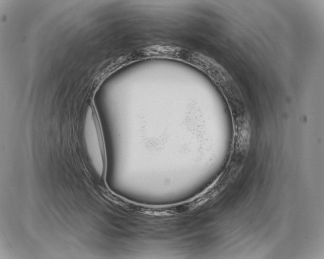 X0000086090749200704202216