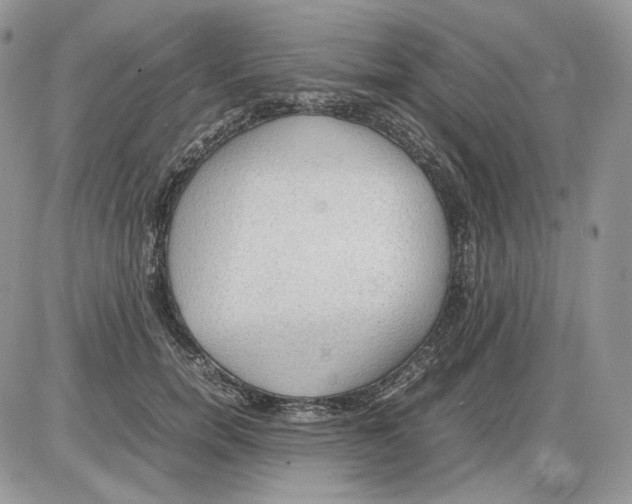 X0000086090750200704202216