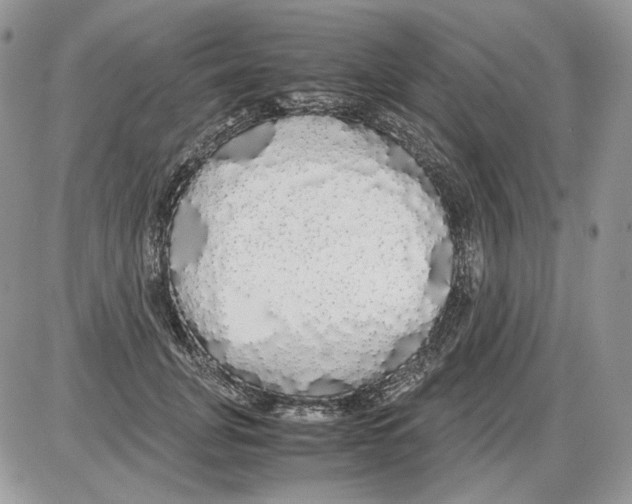 X0000086090751200704202216