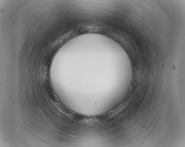 X0000086090752200704202216