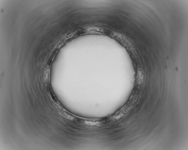 X0000086090753200704202216