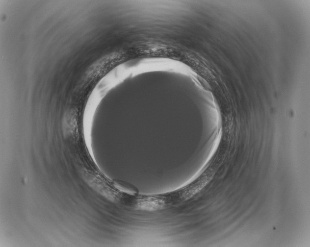 X0000086090754200704202216