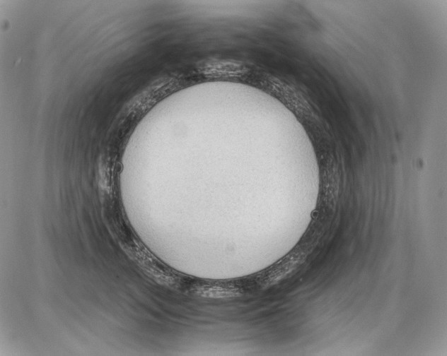 X0000086090755200704202216