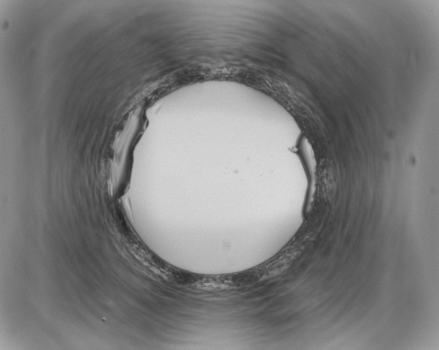 X0000086090756200704202216