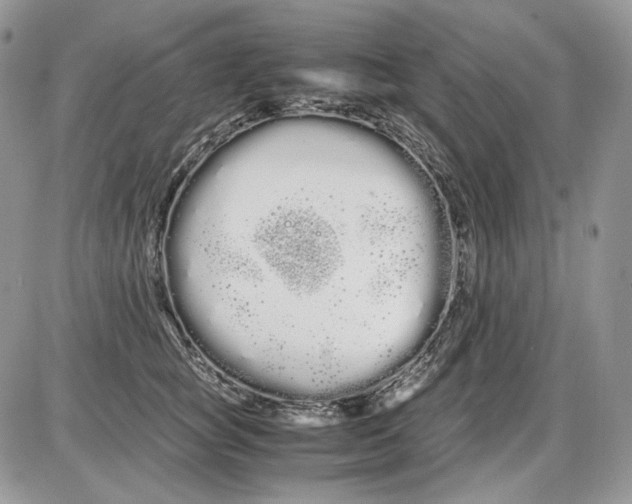 X0000086090757200704202216