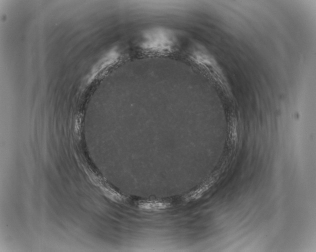 X0000086090759200704202216