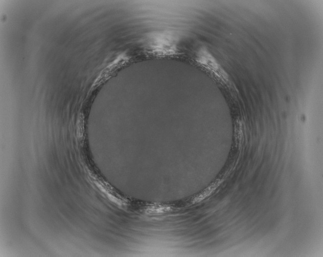 X0000086090760200704202216