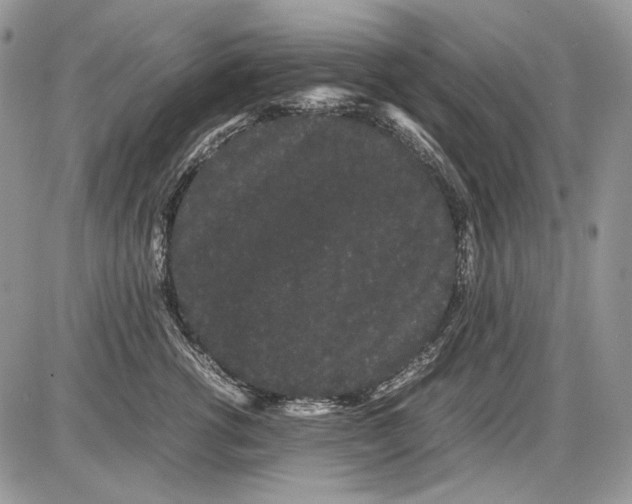 X0000086090762200704202216