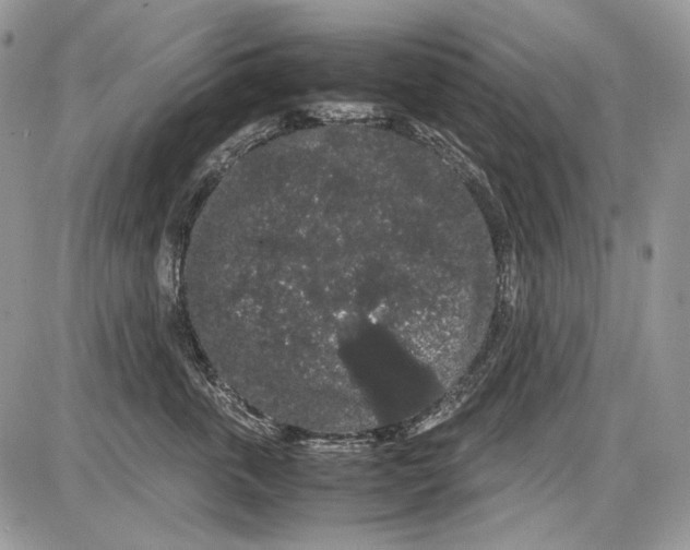 X0000086090763200704202216