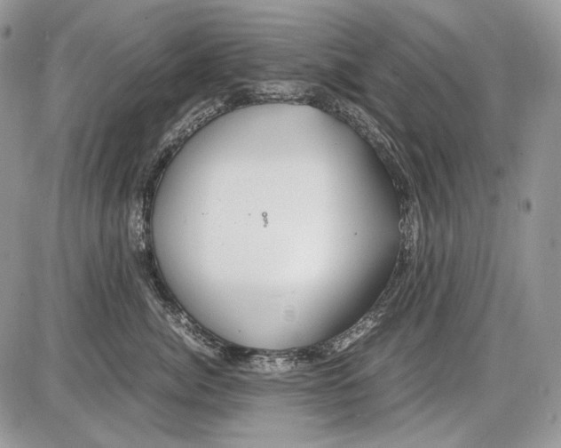 X0000086090764200704202216