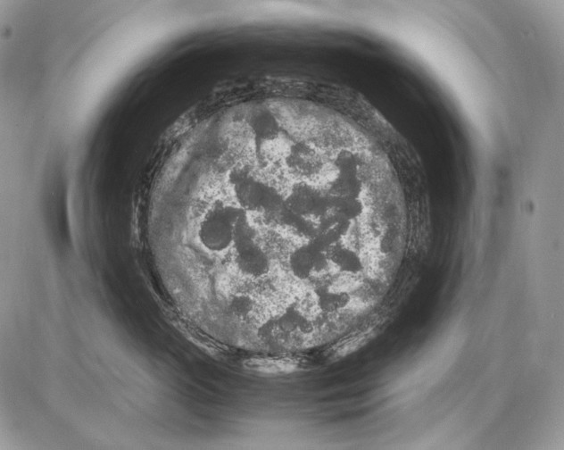 X0000086090765200704202216