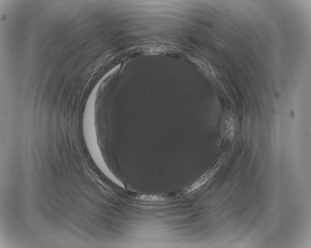 X0000086090766200704202216