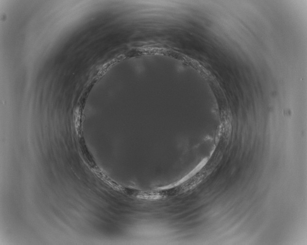 X0000086090767200704202216