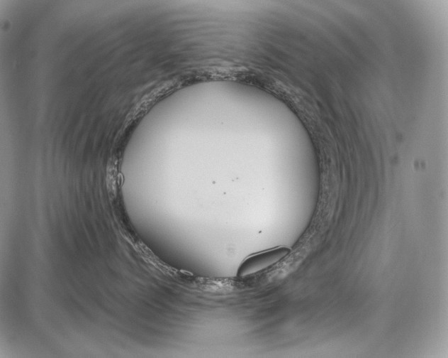 X0000086090768200704202216