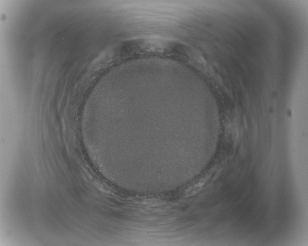 X0000086090769200704202215