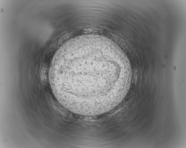 X0000086090770200704202215