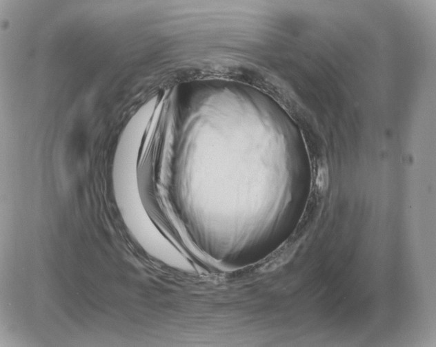 X0000086090771200704202215