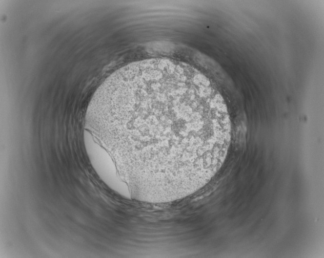 X0000086090772200704202215